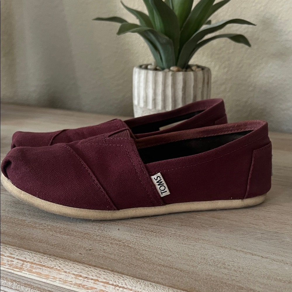 TOMS  Classic Alpargata in Canvas Slip-Ons US Women’s 6